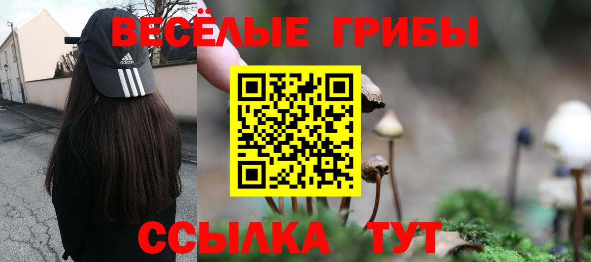 Псилоцибиновые грибы прущие грибы  Галлюциногенные грибы мухоморы  Вход с VPN  Куйбышев 