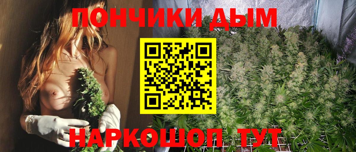 Марихуана OG Kush  Вход с VPN  Канабис тримм  Конопля White Widow  Куйбышев 